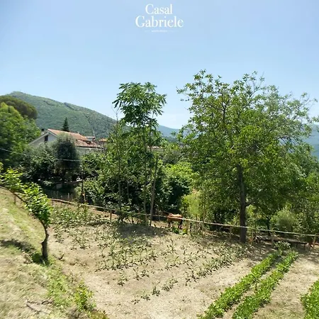 Casal Gabriele Farm stay Lettere