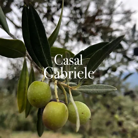 Farm stay Casal Gabriele Lettere